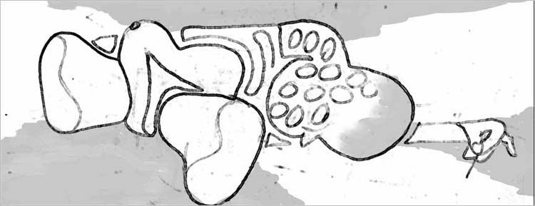 drawing 22